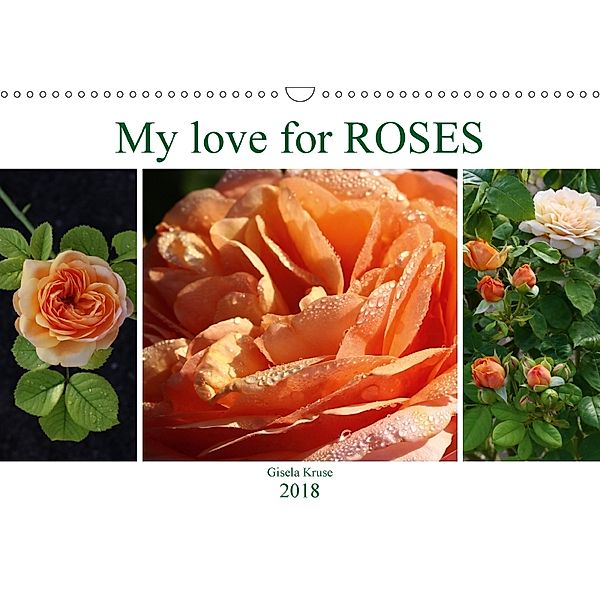 My love for Roses (Wall Calendar 2018 DIN A3 Landscape), Gisela Kruse