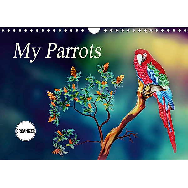 My Parrots (Wall Calendar 2019 DIN A4 Landscape), Dusanka Djeric