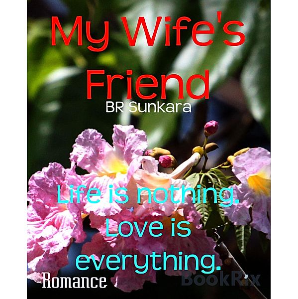 My Wife's Friend, Br Sunkara