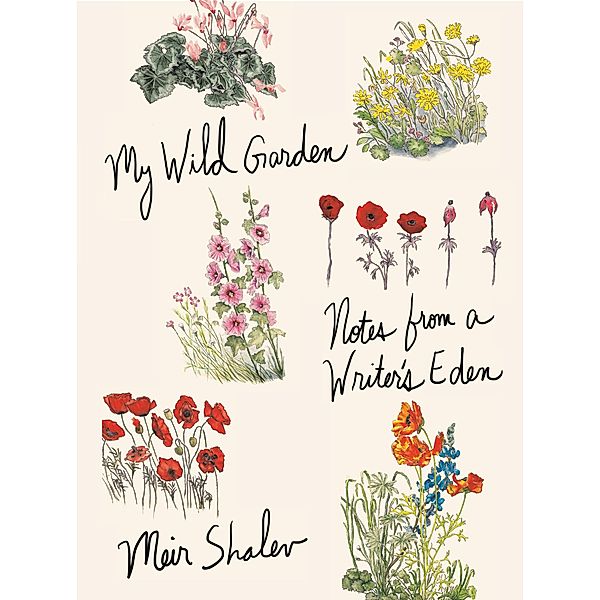 My Wild Garden, Meir Shalev