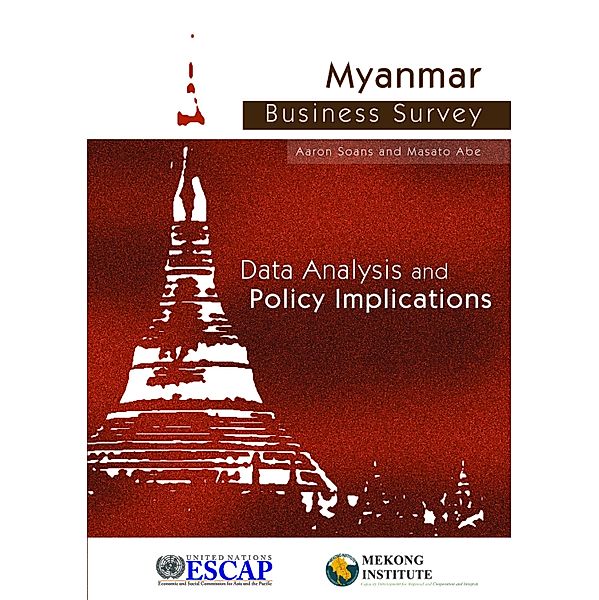 Myanmar Business Survey