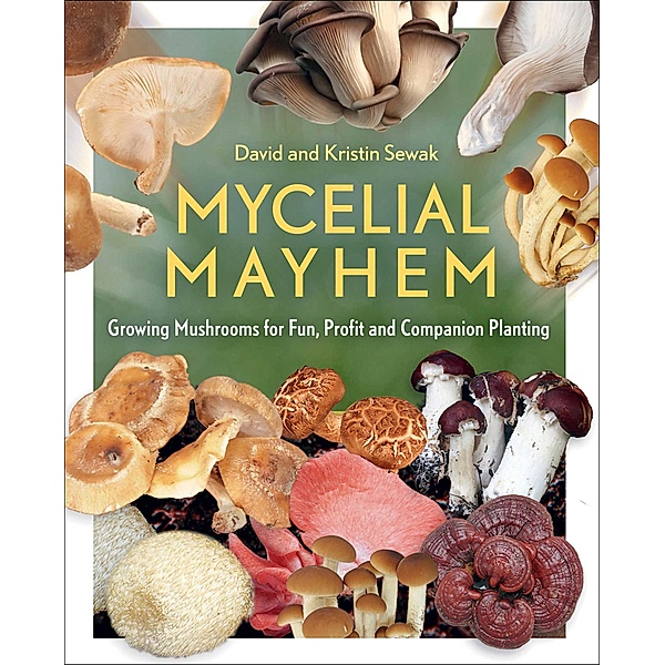 Mycelial Mayhem, David Sewak, Kristin Sewak