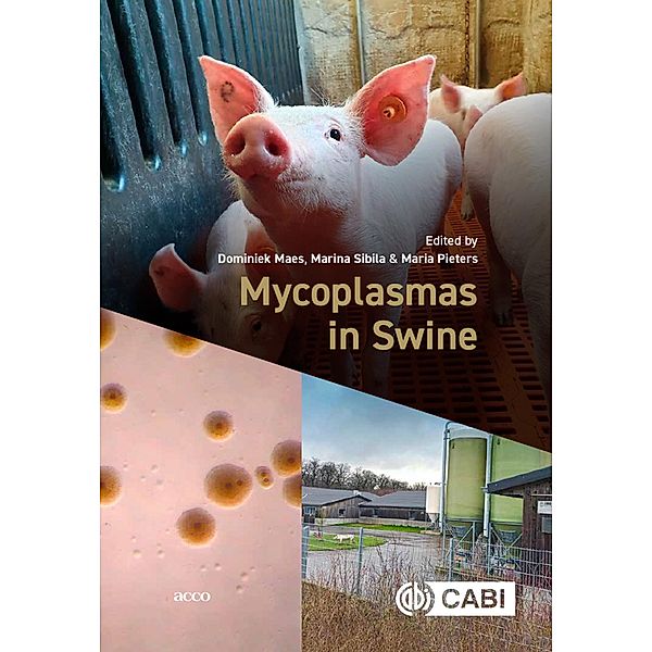 Mycoplasmas in Swine