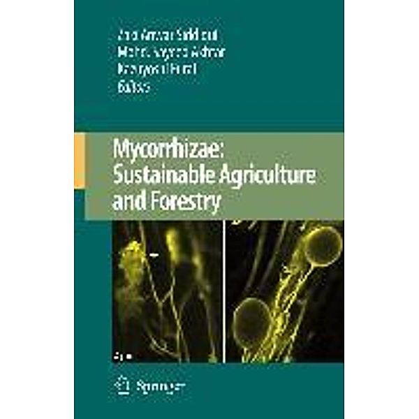 Mycorrhizae: Sustainable Agriculture and Forestry