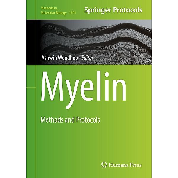 Myelin / Methods in Molecular Biology Bd.1791
