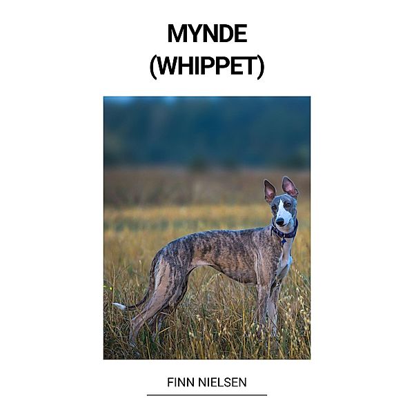 Mynde (Whippet), Finn Nielsen