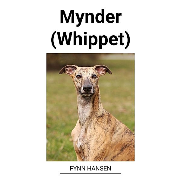 Mynder (Whippet), Fynn Hansen