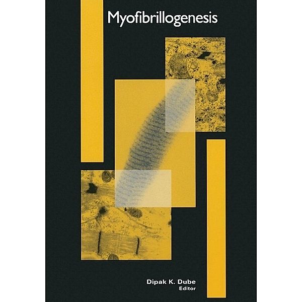 Myofibrillogenesis / Cardiovascular Molecular Morphogenesis