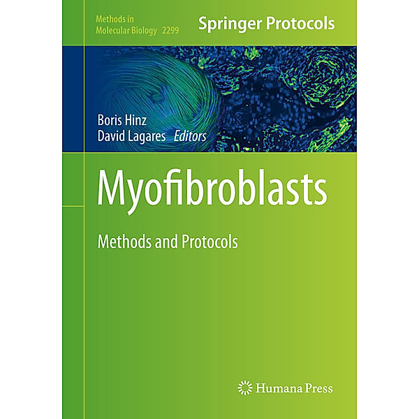 Myofibroblasts