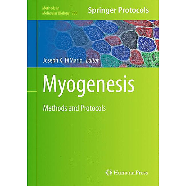 Myogenesis