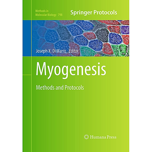 Myogenesis