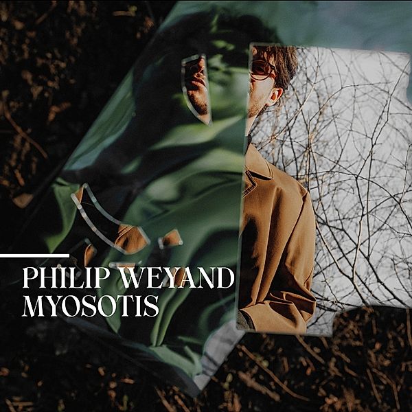 Myosotis, Philip Weyand