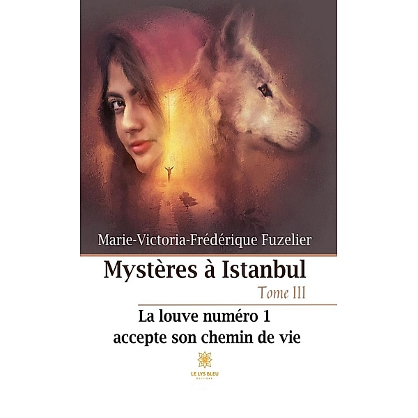Mystères à Istanbul - Tome 3, Marie-Victoria-Frédérique Fuzelier
