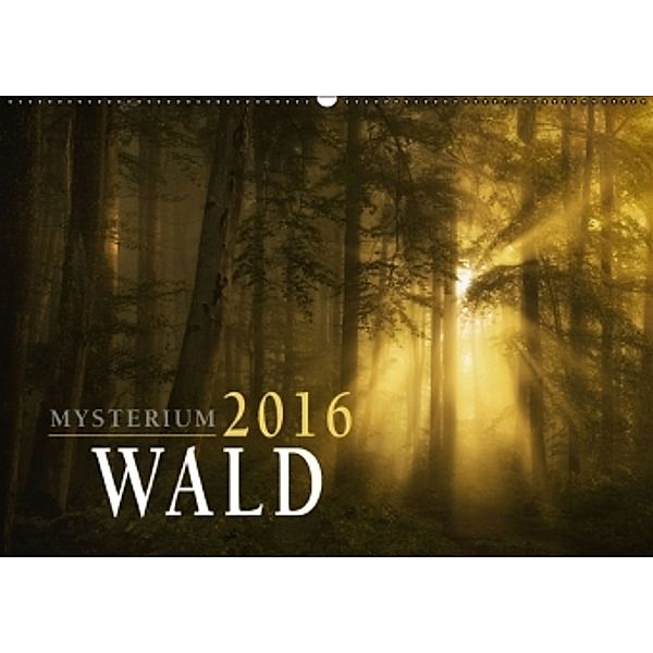 Mysterium Wald (Wandkalender 2016 DIN A2 quer), Norbert Maier