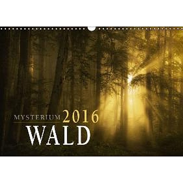 Mysterium Wald (Wandkalender 2016 DIN A3 quer), Norbert Maier