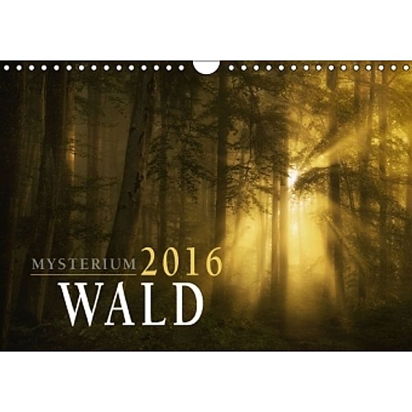Mysterium Wald (Wandkalender 2016 DIN A4 quer), Norbert Maier