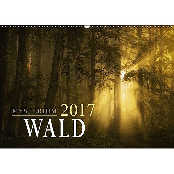 Mysterium Wald (Wandkalender 2017 DIN A2 quer), Norbert Maier