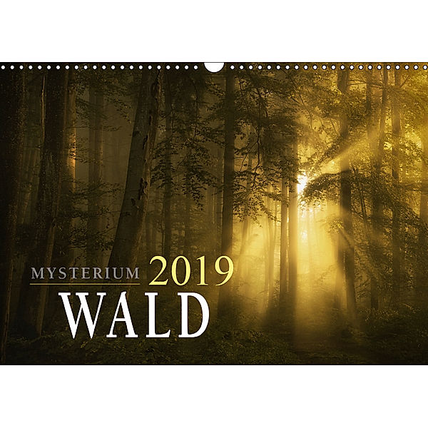 Mysterium Wald (Wandkalender 2019 DIN A3 quer), Norbert Maier