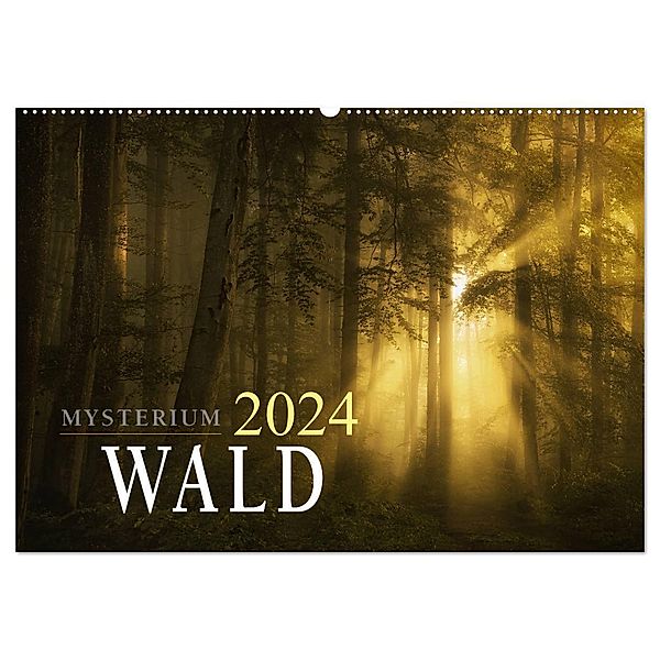 Mysterium Wald (Wandkalender 2024 DIN A2 quer), CALVENDO Monatskalender, Norbert maier