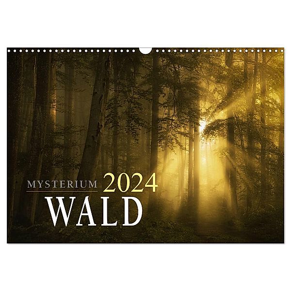 Mysterium Wald (Wandkalender 2024 DIN A3 quer), CALVENDO Monatskalender, Norbert maier