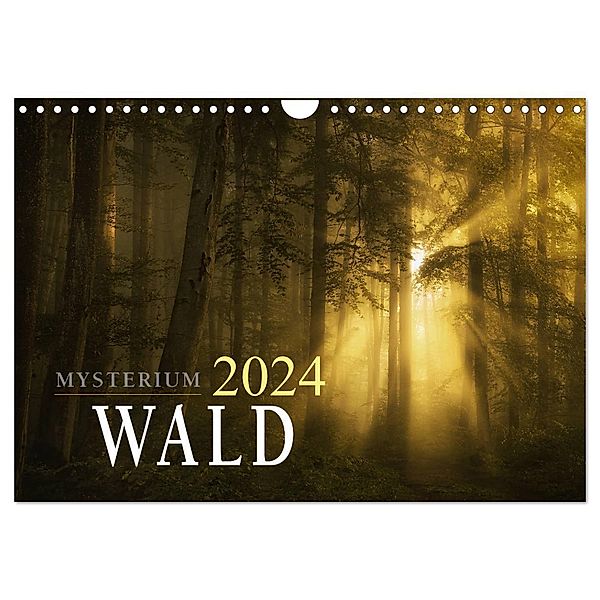 Mysterium Wald (Wandkalender 2024 DIN A4 quer), CALVENDO Monatskalender, Norbert maier