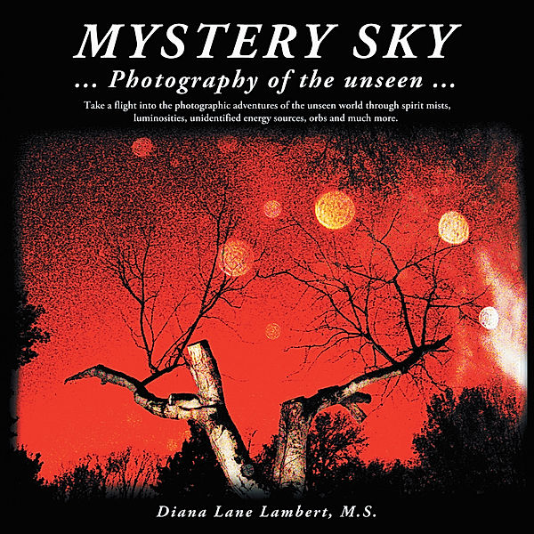 Mystery Sky, Diana Lane Lambert M.S.