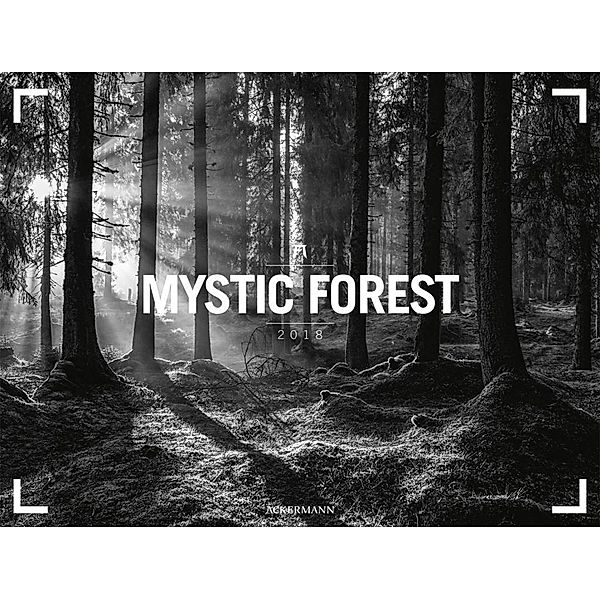 Mystic Forest 2018