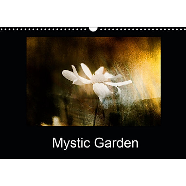 Mystic Garden (Wall Calendar 2021 DIN A3 Landscape), Solange Foix
