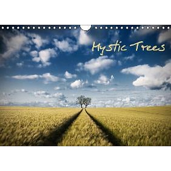 Mystic Trees (Wandkalender 2016 DIN A4 quer), Carsten Meyerdierks