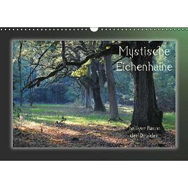 Mystische Eichenhaine (Wandkalender 2016 DIN A3 quer), Katharina Hubner