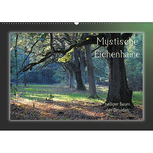 Mystische Eichenhaine (Wandkalender 2019 DIN A2 quer), Katharina Hubner