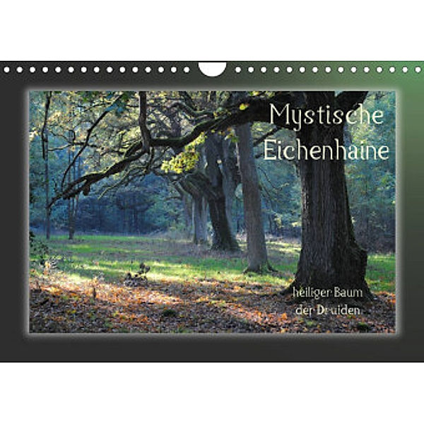 Mystische Eichenhaine (Wandkalender 2022 DIN A4 quer), Katharina Hubner