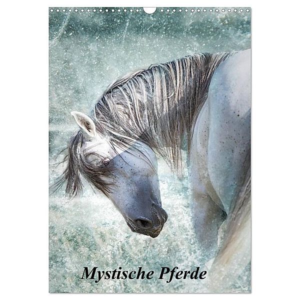 Mystische Pferde (Wandkalender 2025 DIN A3 hoch), CALVENDO Monatskalender, Calvendo, Studio FotoDreams.DE