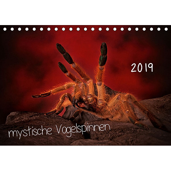 Mystische Vogelspinnen (Tischkalender 2019 DIN A5 quer), Horst Baderschneider