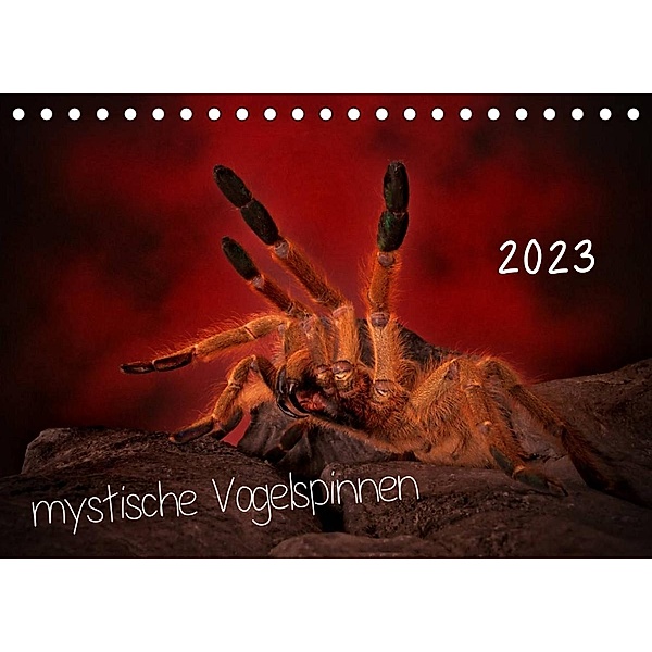 Mystische Vogelspinnen (Tischkalender 2023 DIN A5 quer), Horst Baderschneider