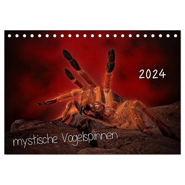 Mystische Vogelspinnen (Tischkalender 2024 DIN A5 quer), CALVENDO Monatskalender, Horst Baderschneider
