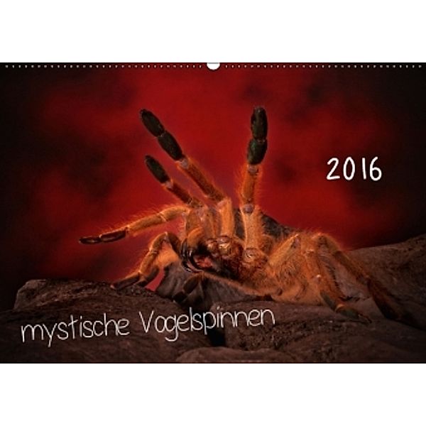 Mystische Vogelspinnen (Wandkalender 2016 DIN A2 quer), Horst Baderschneider