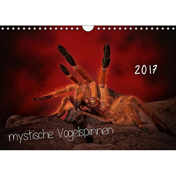 Mystische Vogelspinnen (Wandkalender 2017 DIN A4 quer), Horst Baderschneider