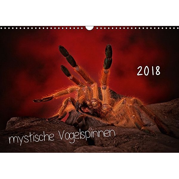 Mystische Vogelspinnen (Wandkalender 2018 DIN A3 quer), Horst Baderschneider