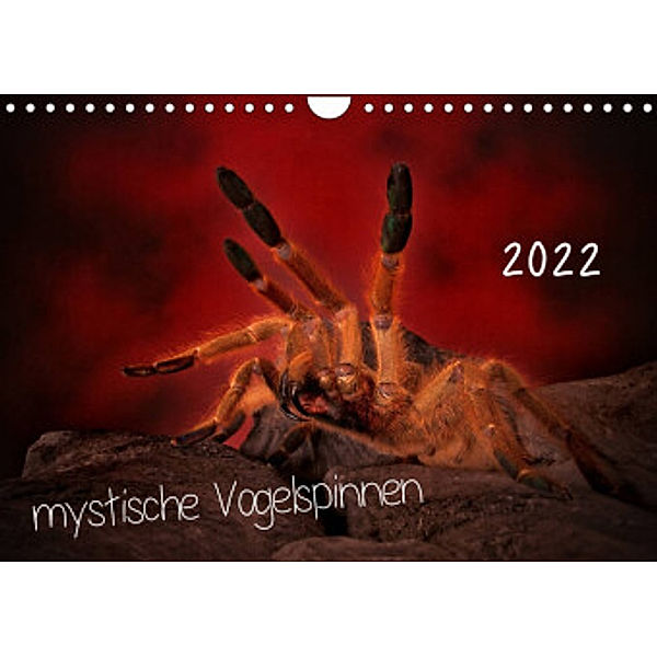 Mystische Vogelspinnen (Wandkalender 2022 DIN A4 quer), Horst Baderschneider