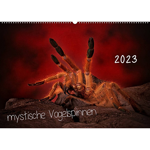 Mystische Vogelspinnen (Wandkalender 2023 DIN A2 quer), Horst Baderschneider