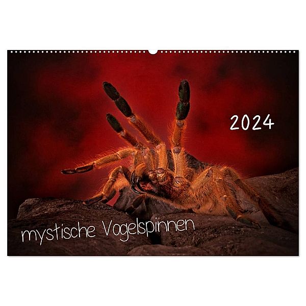Mystische Vogelspinnen (Wandkalender 2024 DIN A2 quer), CALVENDO Monatskalender, Horst Baderschneider