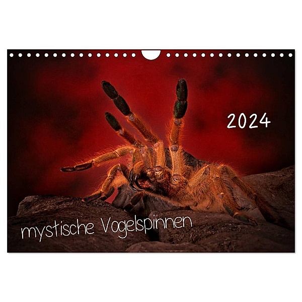 Mystische Vogelspinnen (Wandkalender 2024 DIN A4 quer), CALVENDO Monatskalender, Horst Baderschneider