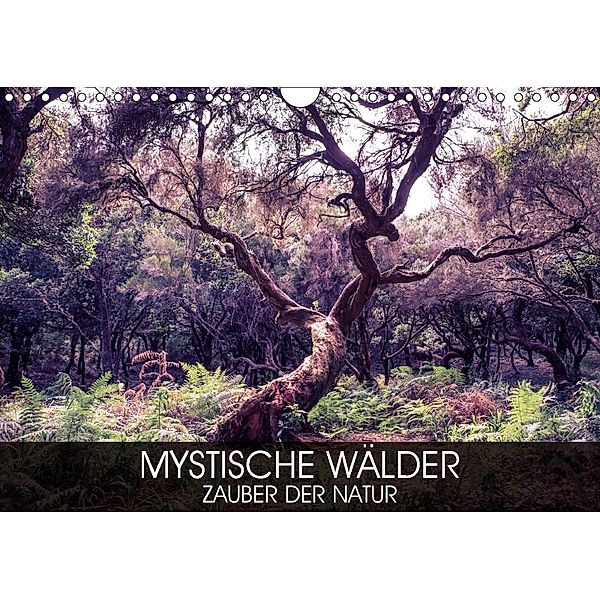 Mystische Wälder - Zauber der Natur (Wandkalender 2018 DIN A4 quer) Dieser erfolgreiche Kalender wurde dieses Jahr mit g, Val Thoermer