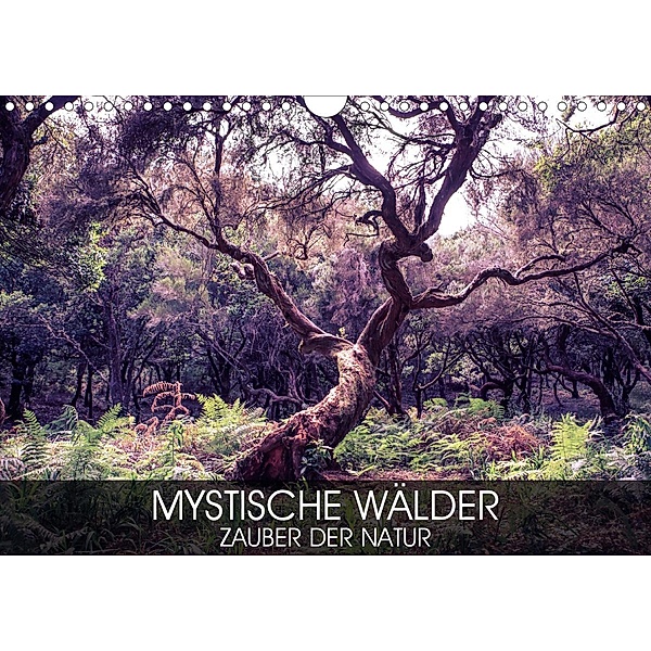 Mystische Wälder - Zauber der Natur (Wandkalender 2020 DIN A4 quer), Val Thoermer