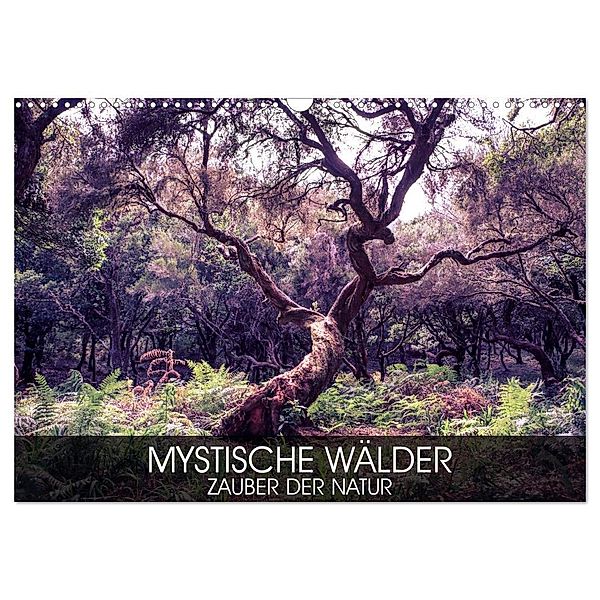 Mystische Wälder - Zauber der Natur (Wandkalender 2024 DIN A3 quer), CALVENDO Monatskalender, Val Thoermer