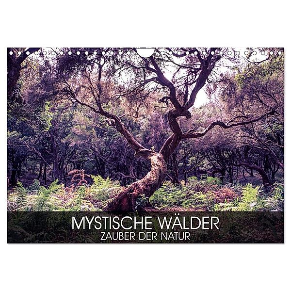 Mystische Wälder - Zauber der Natur (Wandkalender 2025 DIN A4 quer), CALVENDO Monatskalender, Calvendo, Val Thoermer