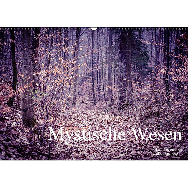Mystische Wesen (Wandkalender 2019 DIN A2 quer), Hannes Cmarits