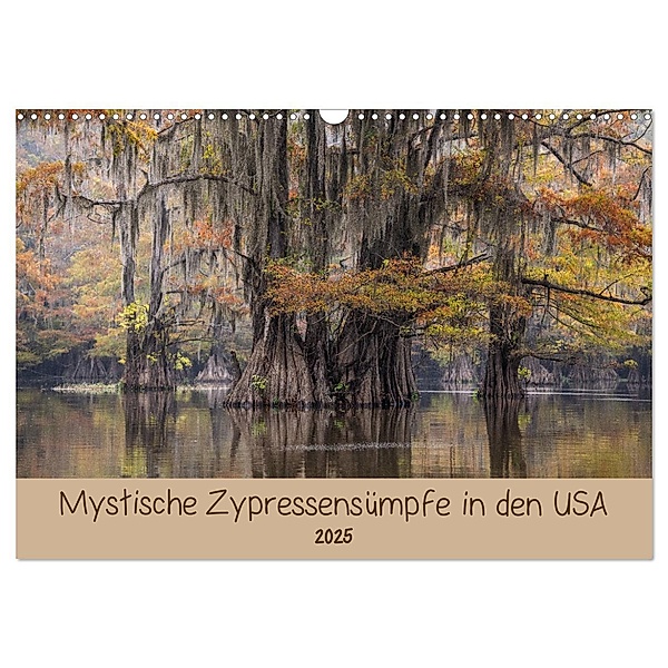 Mystische Zypressensümpfe (Wandkalender 2025 DIN A3 quer), CALVENDO Monatskalender, Calvendo, Sonja Jordan