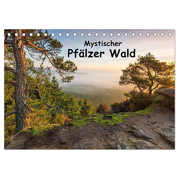 Mystischer Pfälzer Wald (Tischkalender 2024 DIN A5 quer), CALVENDO Monatskalender, Bernd Leicht